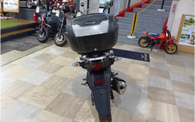 SUZUKI STROM 250 DS11A
