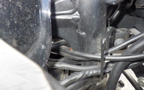 KAWASAKI NINJA 250 EX250L