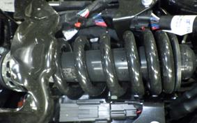 HARLEY FXST1750 2025
