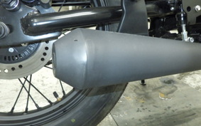 OTHER +ﾏｯﾄﾓｰﾀｰｻｲｸﾙ250 2008