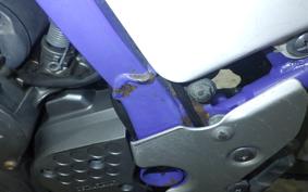 YAMAHA TT250R RAID 4GY