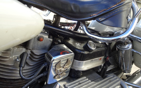 HARLEY FLH80 CLASSIC 1979 914