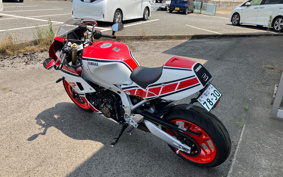 YAMAHA XSR900 GP 2024 RN96J