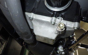 YAMAHA YZF-R25 RG43J