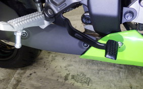 KAWASAKI ZX-25RR 2019 ZX250H