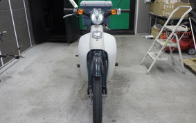 HONDA LITTLE CUB 2026 AA01