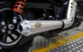 HARLEY XL1200NS 2019 LP3