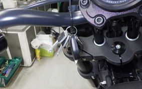 HARLEY FXLRS1920 2024