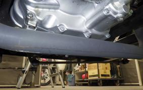 OTHER +UNREGISTERED MODEL by BDS TRIKE250 2014