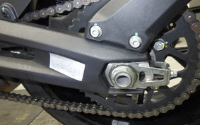 DUCATI SCRAMBLER ICON 2024