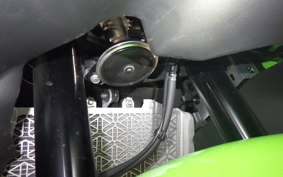 KAWASAKI ZX-4RR 2024 ZX400P