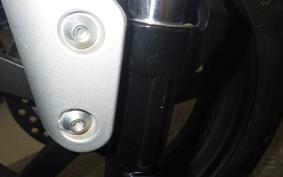 HONDA DAX 125 2024 JB04
