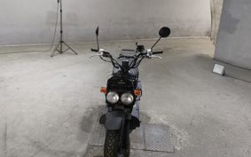 HONDA ZUMAR AF58