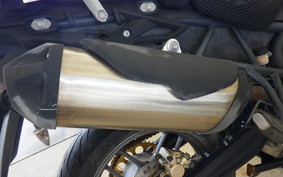 TRIUMPH TIGER800(ショルイナ