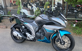 YAMAHA FAZER 250 RG42