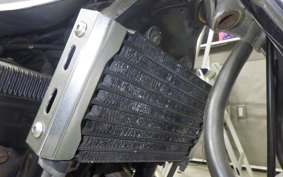 SUZUKI INAZUMA 400 (GSX400) 2001 GK7BA
