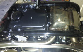 TRIUMPH BONNEVILLE T100 2025