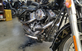 HARLEY FLSTC 2013 BW5