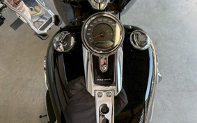 HARLEY FLFBS 2021 YGK