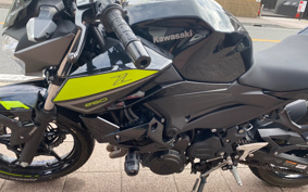 KAWASAKI Z250 EX250P