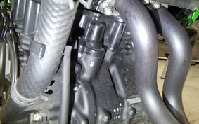 KAWASAKI Z250 Gen.2 2023 EX250Y