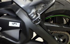 KAWASAKI ZH2 SE 2008 ZRT00R