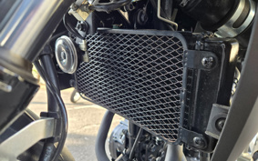 SUZUKI STROM 250 DS11A