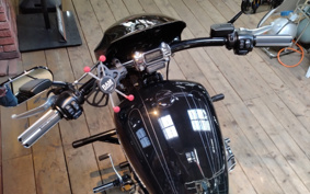 HARLEY FXBRS 2021 YHK