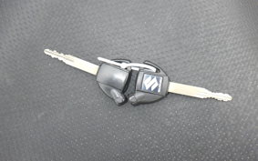 SUZUKI SKYWAVE 400 2007 CK43A