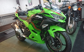 KAWASAKI NINJA 250 ABS EX250Y