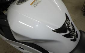 KAWASAKI NINJA 250 EX250L