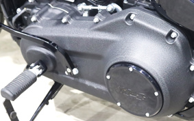 HARLEY FXLRS 2020 YWK