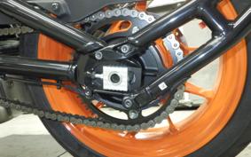 INDIAN FTR1200 2025