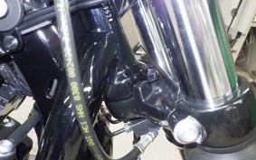 HARLEY XL883N 2021