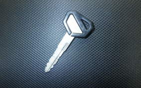 KAWASAKI KLX250D TRACKER X 2017 LX250V