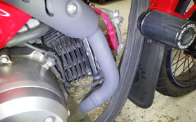 HONDA CT125 HUNTER CUB 2025