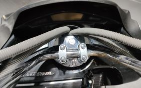 YAMAHA MAXAM 250 SG21J