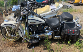 HARLEY HARLEY FLSTS1450 2021 BRL