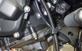 KAWASAKI Z250 Gen.2 2018 EX250P