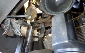 KAWASAKI NINJA 250 EX250L