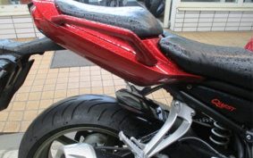 YAMAHA FZ-1 FEATHER 2009 RN21J