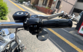 HARLEY XL1200L 2007 CX3