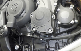 TRIUMPH TRIDENT 660 2024
