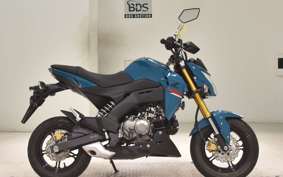 KAWASAKI Z125 PRO 2005 BR125H