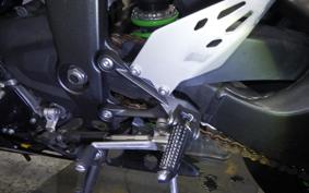 KAWASAKI NINJA ZX-6R A 2019 ZX636G