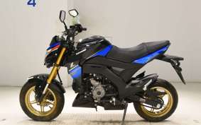 KAWASAKI Z125 PRO 2005 BR125H
