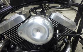 OTHER THUNDER250