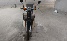 HONDA SUPER CUB50 AA09
