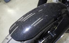 HARLEY XL1200NS 2019