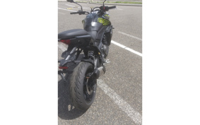 TRIUMPH TIGER 800 2026 L25P10